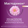 Мастодинон таблетки   120 шт