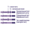 Тест для определения беременности Evitest 2 шт