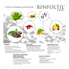 Ринфолтил Эспрессо Усиленная формула ампулы для мужчин с кофеином амп 10 мл 10 шт