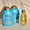 OGX Восстанавливающий кондиционер для волос с аргановым маслом Renewing + Argan Oil Of Morocco Conditioner 385 мл 1 шт