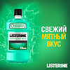 Listerine ополаскиватель для полости рта Защита десен и зубов 250 мл 1 шт