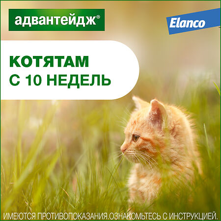 Адвантейдж (Advantage) капли на холку от блох для котят и кошек до 4 кг пипетка 1 шт. 1 шт