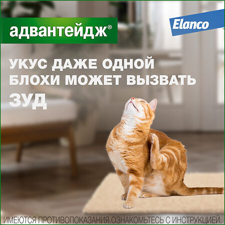 Адвантейдж (Advantage) капли на холку от блох для кошек свыше 4 кг пипетки 4 шт