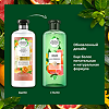 Herbal Essences Шампунь Белый грейпфрут и мята 400 мл 1 шт