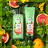 Herbal Essences Шампунь Белый грейпфрут и мята 400 мл 1 шт