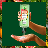 Herbal Essences Шампунь Белый грейпфрут и мята 400 мл 1 шт