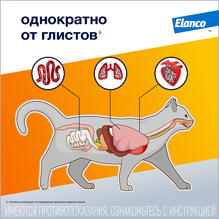 Адвокат капли на холку от чесоточных клещей,блох и глистов для кошек более 4 кг 0,8 мл 1 шт