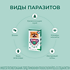 Атакса Капли на холку для собак от 1,5 до 4 кг пипетка 0,4 мл 1 шт