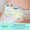 Подгузники Памперс (Pampers) Premium Care Newborn <3 кг 22 шт