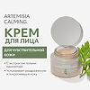 MISSHA Artemisia Calming Moisture Cream Успокаивающий крем для чувствительной кожи с экстрактом полыни 50 мл 1 шт